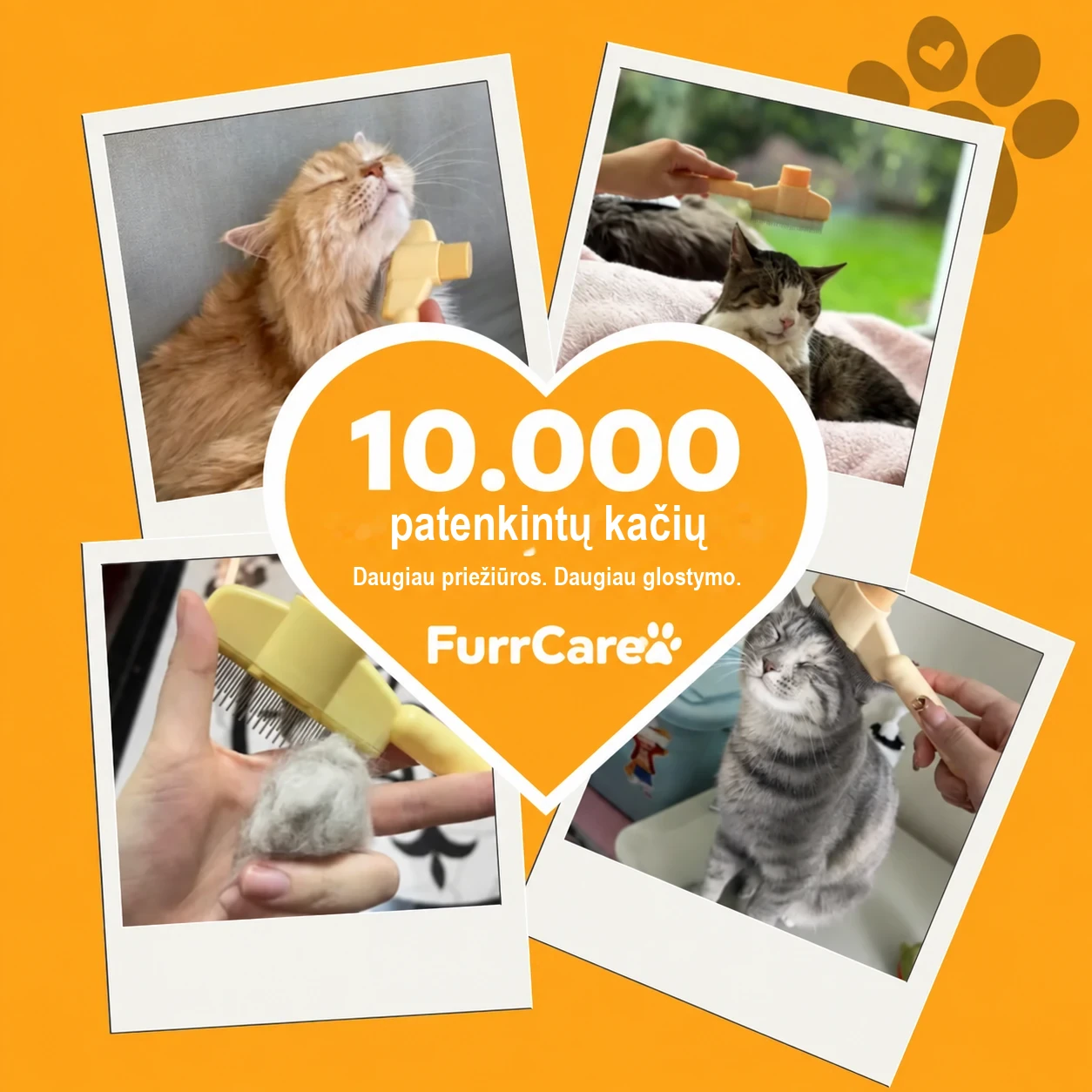 10.000 patenkintų kačių